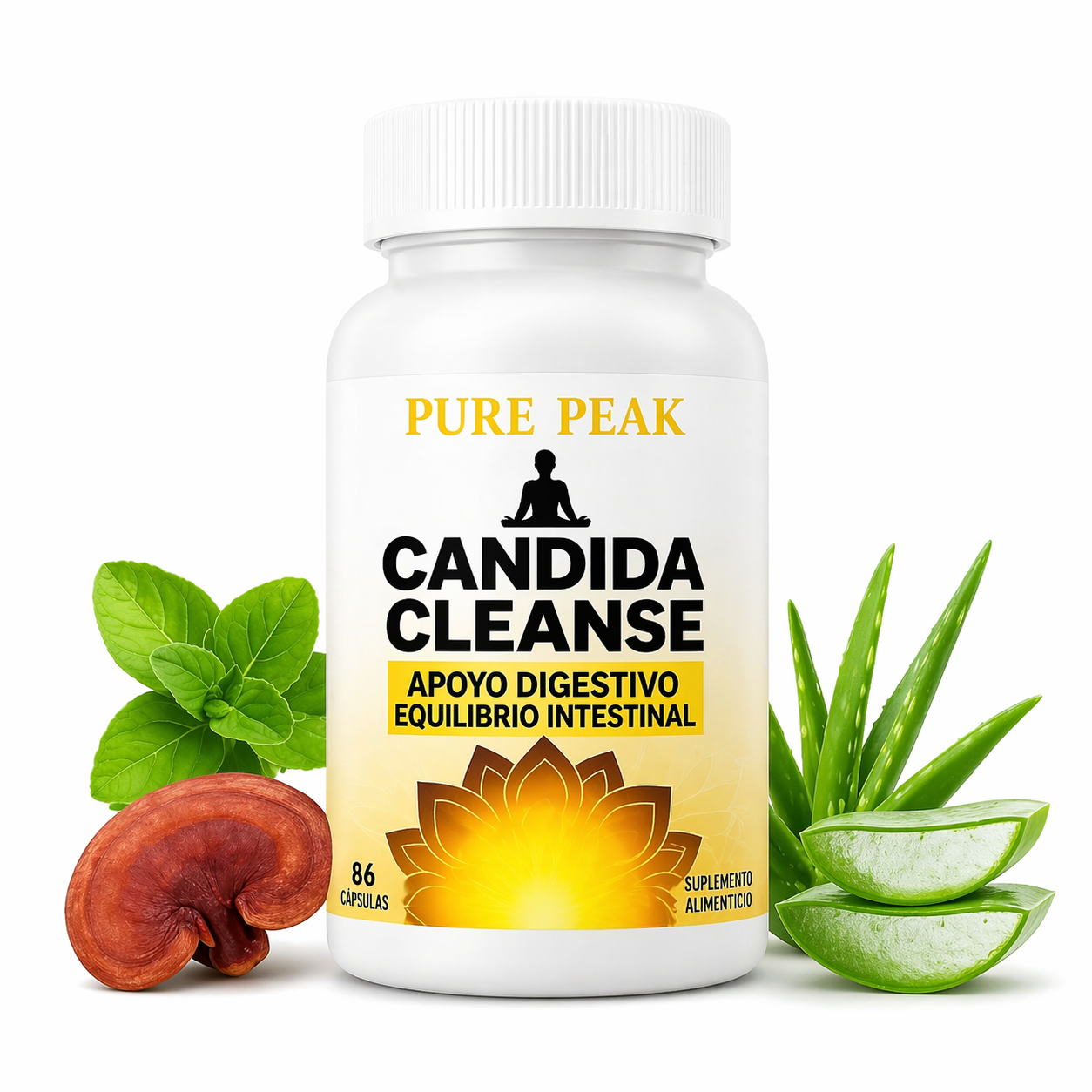 Candida Cleanse X60